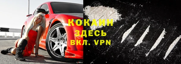 хмурый Дмитриев