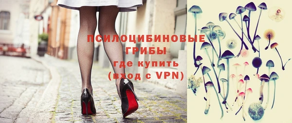 спиды Заводоуковск