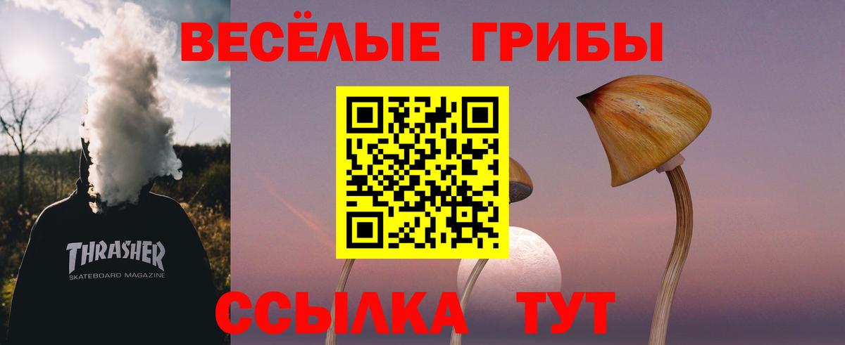 Псилоцибиновые грибы ЛСД Изобильный