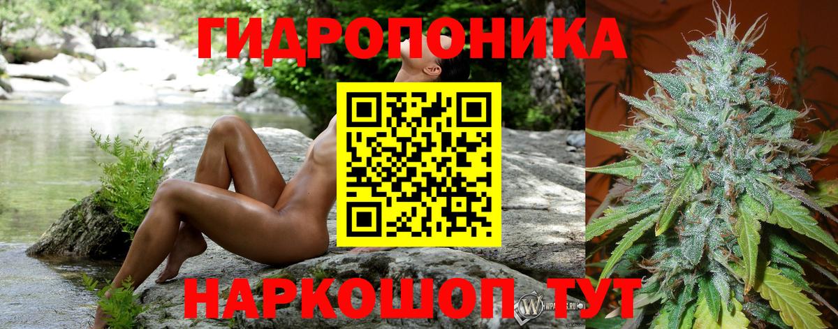 Бошки марихуана Bruce Banner Изобильный